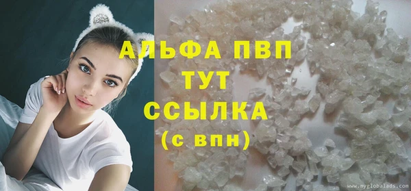 прущие крисы Новозыбков