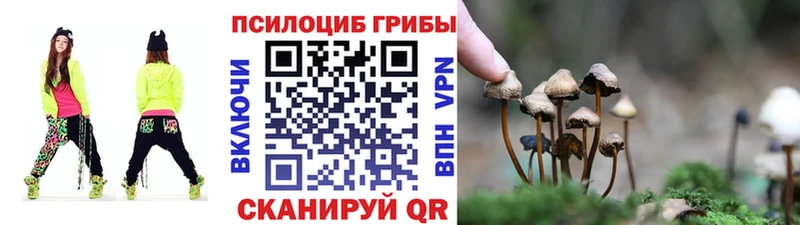 ОМГ ОМГ сайт  Отрадный  Псилоцибиновые грибы MAGIC MUSHROOMS 