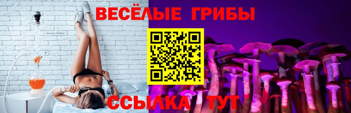 Псилоцибиновые грибы ЛСД  Вход с VPN  Галлюциногенные грибы MAGIC MUSHROOMS  Отрадный 