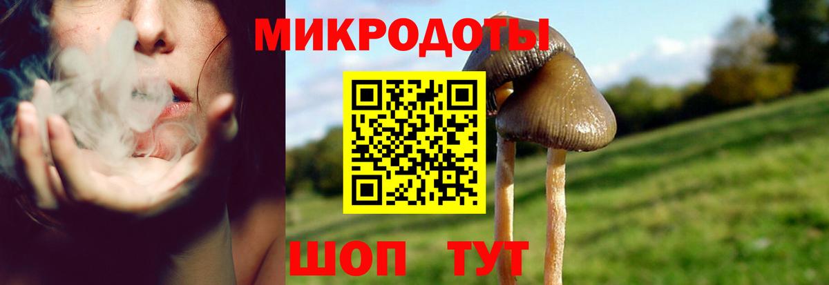 Галлюциногенные грибы мухоморы Отрадный